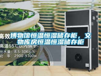 常見問題博物館恒溫恒濕儲存柜，文物庫房恒溫恒濕儲存柜