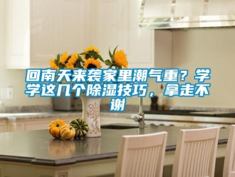 行業新聞回南天來襲家里潮氣重？學學這幾個除濕技巧，拿走不謝