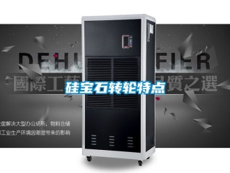 常見問題硅寶石轉輪特點