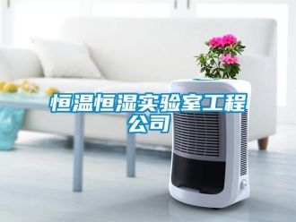 知識百科恒溫恒濕實驗室工程公司