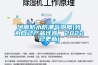 河南防水防潮氣泡膜(我為自己產品代言，2022已更新)