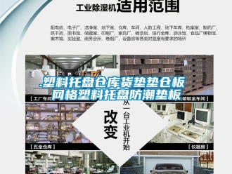 企業新聞.塑料托盤倉庫貨墊墊倉板 網格塑料托盤防潮墊板