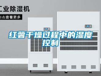 行業新聞紅薯干燥過程中的濕度控制