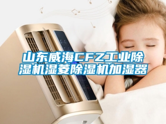 常見問題山東威海CFZ工業除濕機濕菱除濕機加濕器