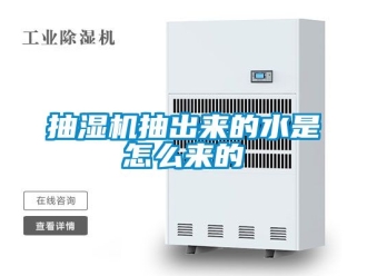 企業新聞抽濕機抽出來的水是怎么來的