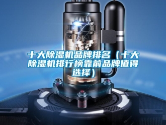 企業新聞十大除濕機品牌排名（十大除濕機排行榜靠前品牌值得選擇）