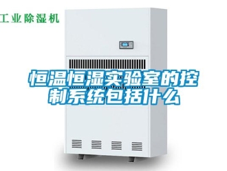 知識百科恒溫恒濕實驗室的控制系統包括什么