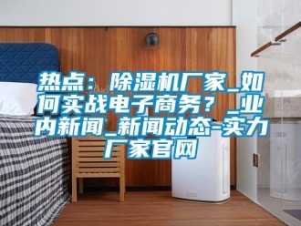 常見問題熱點：除濕機廠家_如何實戰電子商務？_業內新聞_新聞動態-實力廠家官網