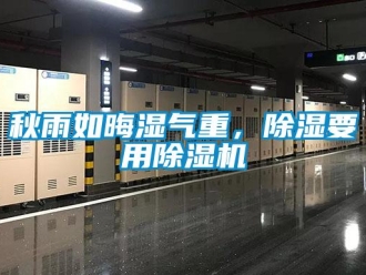 行業新聞秋雨如晦濕氣重，除濕要用除濕機