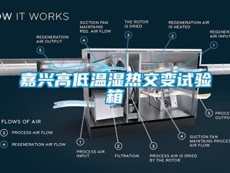 常見問題嘉興高低溫濕熱交變試驗箱