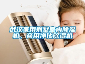 常見問題武漢家用別墅室內除濕機，商用凈化除濕機