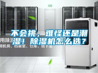 企業新聞不會挑，難怪還是潮濕！除濕機怎么選？