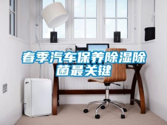 企業新聞春季汽車保養除濕除菌最關鍵