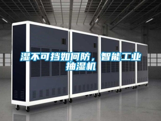 常見問題濕不可擋如何防，智能工業抽濕機