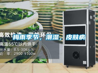 行業新聞梅雨季節，潮濕，皮膚病
