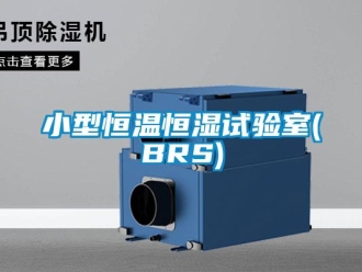 知識百科小型恒溫恒濕試驗室(BRS)