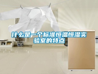 知識百科什么是一個標準恒溫恒濕實驗室的特點