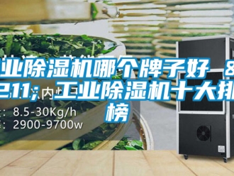 常見問題工業除濕機哪個牌子好 – 工業除濕機十大排行榜