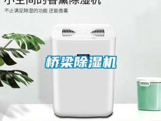 行業新聞橋梁除濕機