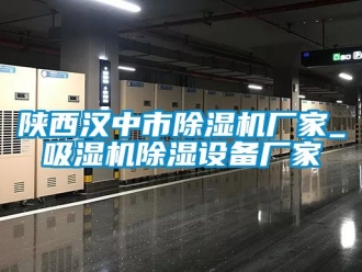企業新聞陜西漢中市除濕機廠家_吸濕機除濕設備廠家