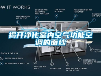 行業新聞揭開凈化室內空氣功能空調的面紗