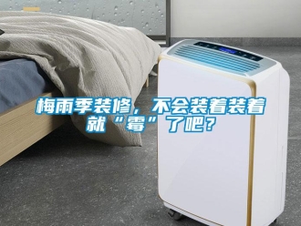行業新聞梅雨季裝修，不會裝著裝著就“霉”了吧？
