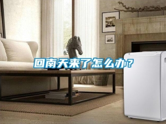 常見問題回南天來了怎么辦？