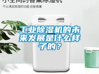 企業新聞工業除濕機的未來發展是什么樣子的？
