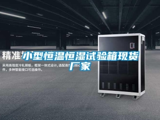 知識百科小型恒溫恒濕試驗箱現貨廠家