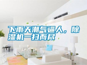 知識百科下雨天潮氣逼人，除濕機一掃而盡