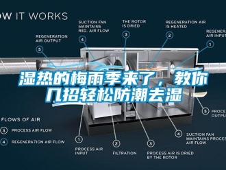 知識百科濕熱的梅雨季來了，教你幾招輕松防潮去濕