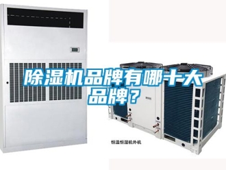 企業新聞除濕機品牌有哪十大品牌？