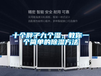 企業新聞十個胖子九個濕，教你一個簡單的除濕方法