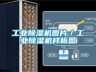 常見問題工業除濕機圖片／工業除濕機樣板圖