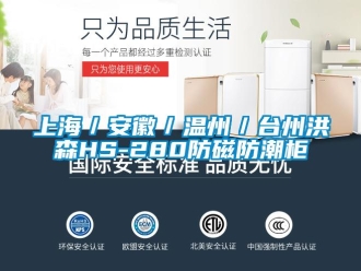 常見問題上海／安徽／溫州／臺州洪森HS-280防磁防潮柜