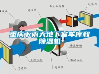 行業新聞重慶下雨天地下室車庫和除濕機