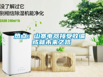 行業新聞熱點：山寨電器接受收編 成就未來之路