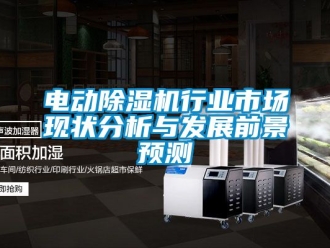 行業新聞電動除濕機行業市場現狀分析與發展前景預測
