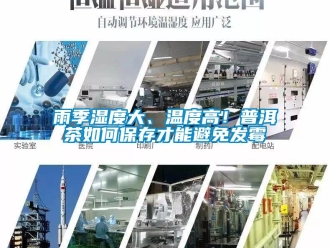 常見問題雨季濕度大、溫度高！普洱茶如何保存才能避免發霉