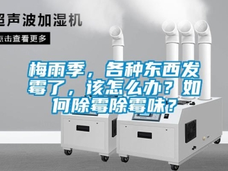常見問題梅雨季，各種東西發霉了，該怎么辦？如何除霉除霉味？