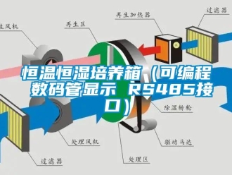 知識百科恒溫恒濕培養箱（可編程 數碼管顯示 RS485接口）