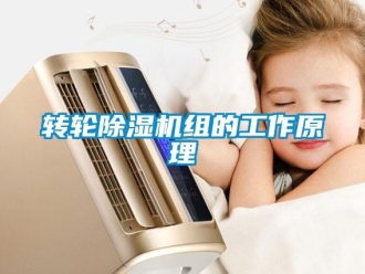 知識百科轉輪除濕機組的工作原理
