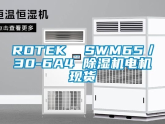 企業新聞ROTEK  SWM65／30-6A4 除濕機電機現貨