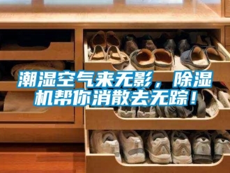 企業新聞潮濕空氣來無影，除濕機幫你消散去無蹤！