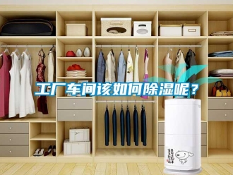 常見問題工廠車間該如何除濕呢？