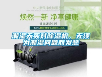常見問題潮濕天買對除濕機，無須為潮濕問題而發愁
