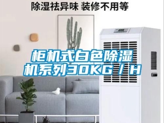 行業新聞柜機式白色除濕機系列30KG／H
