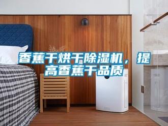 行業新聞香蕉干烘干除濕機，提高香蕉干品質