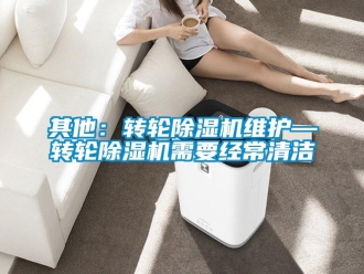 常見問題其他：轉輪除濕機維護—轉輪除濕機需要經常清潔