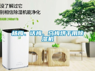 知識百科楊梅、話梅、烏梅烘干用除濕機